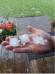 April 2021 Hail stones - N4GLL-Lehn